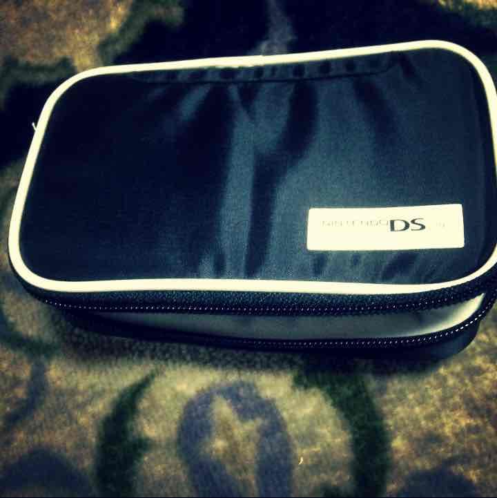 DS(充電器、ケース、ソフト)付き