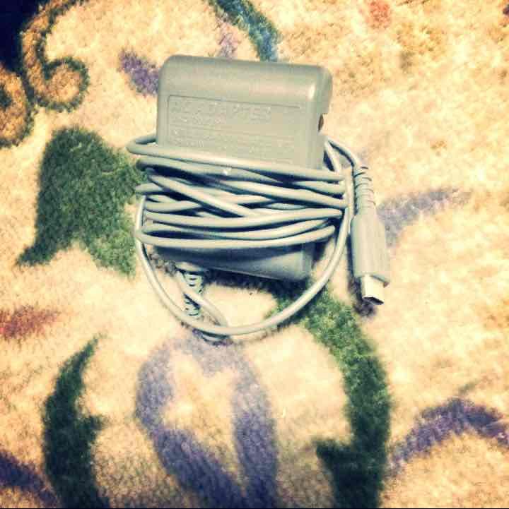 DS(充電器、ケース、ソフト)付き