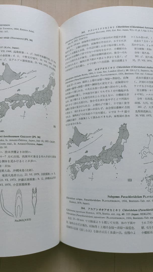 【希少・専門書】＜復刻版＞日本産カミキリ大図鑑