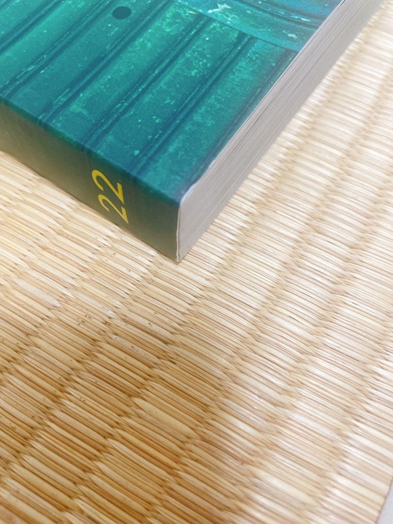 commons & sense man ISSUE2  池松壮亮　登坂広臣