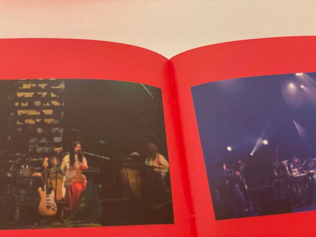 赤い公園 THE LAST LIVE 「THE PARK」 初回生産限定盤