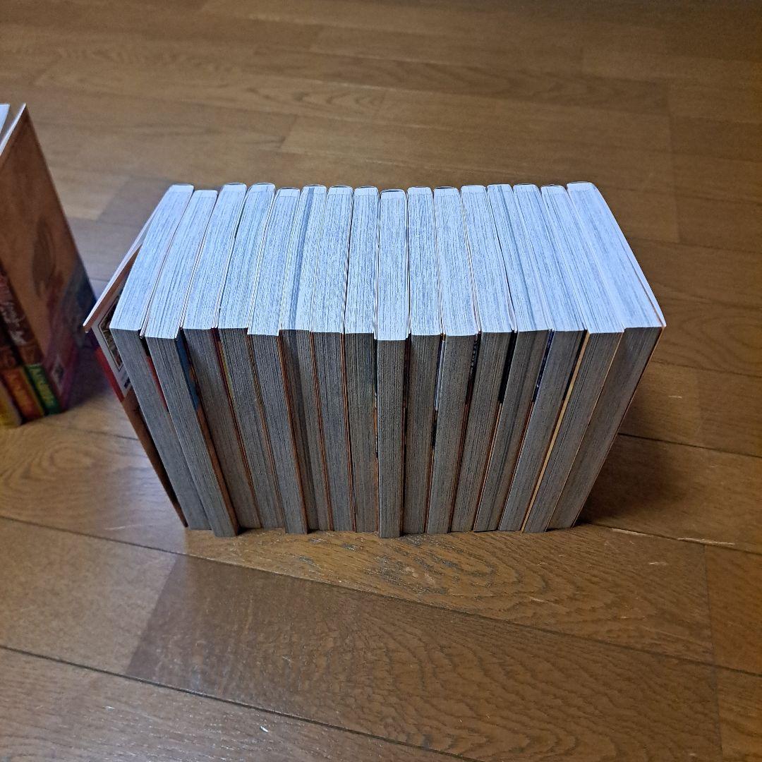 フェアリーテイル 全巻セット DVD付き