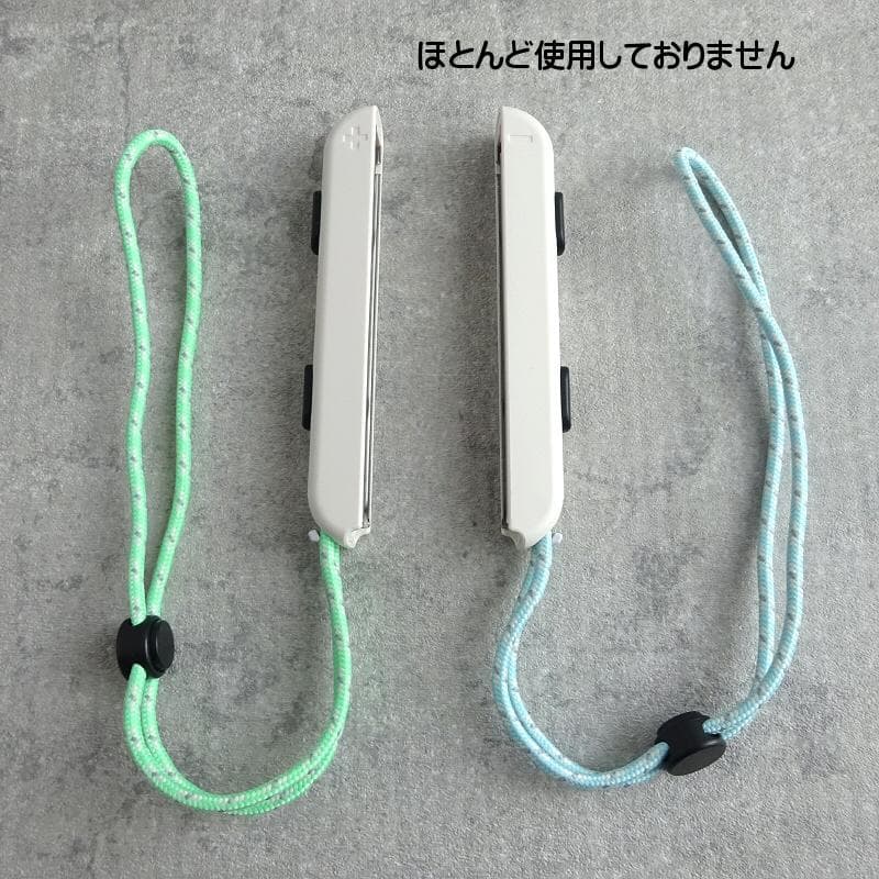 Nintendo Switch 本体 あつまれ どうぶつの森セット スイッチ