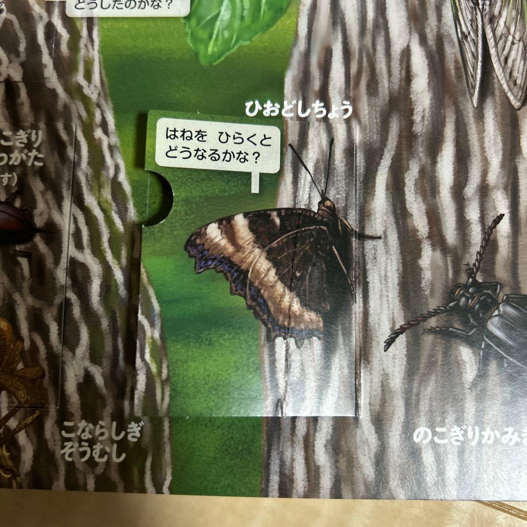 学研　はっけんずかん　8冊セット