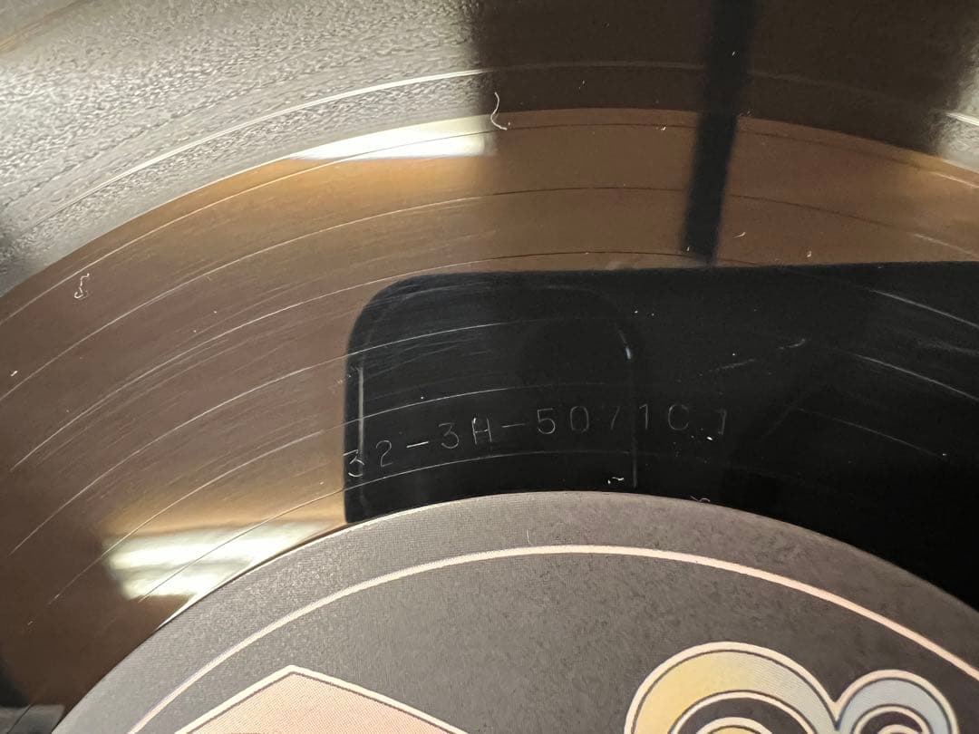 TM NETWORK CAROL 2LP 邦楽レコード 32・3H-5070