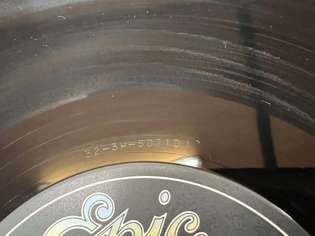 TM NETWORK CAROL 2LP 邦楽レコード 32・3H-5070