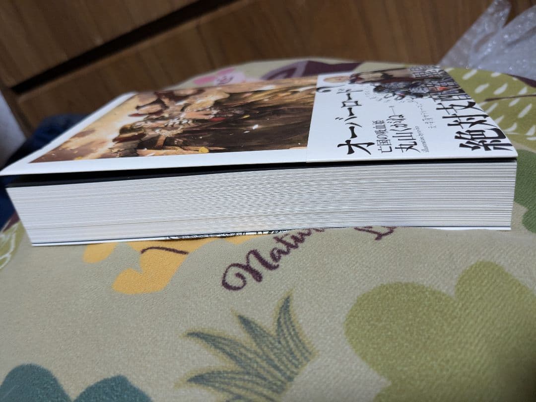 亡国の吸血姫　オーバーロード　外伝【ifストーリー】