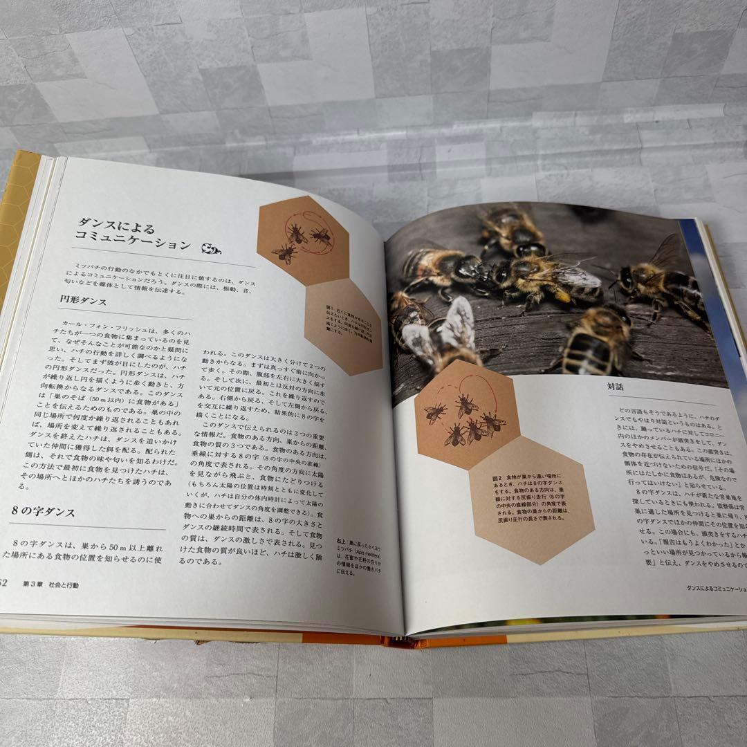 B127 世界のミツバチ・ハナバチ百科図鑑 ノア・ウィルソン・リッチ 図鑑