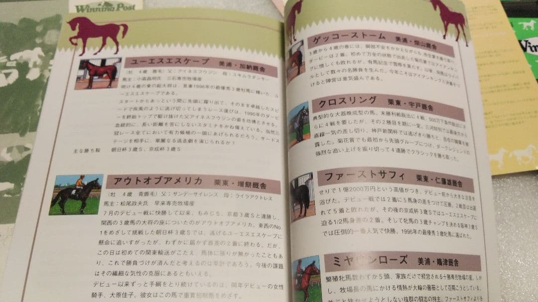 ■絶版■ PC-9801 ウィニングポスト　競馬育成ゲーム　コレクション貴重処分