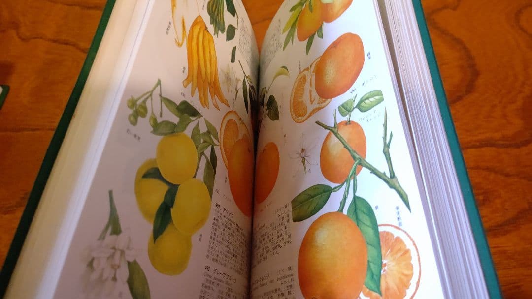 コンパクト版『原色園芸植物図鑑』Ⅰ～Ⅳ (全巻) 北隆館