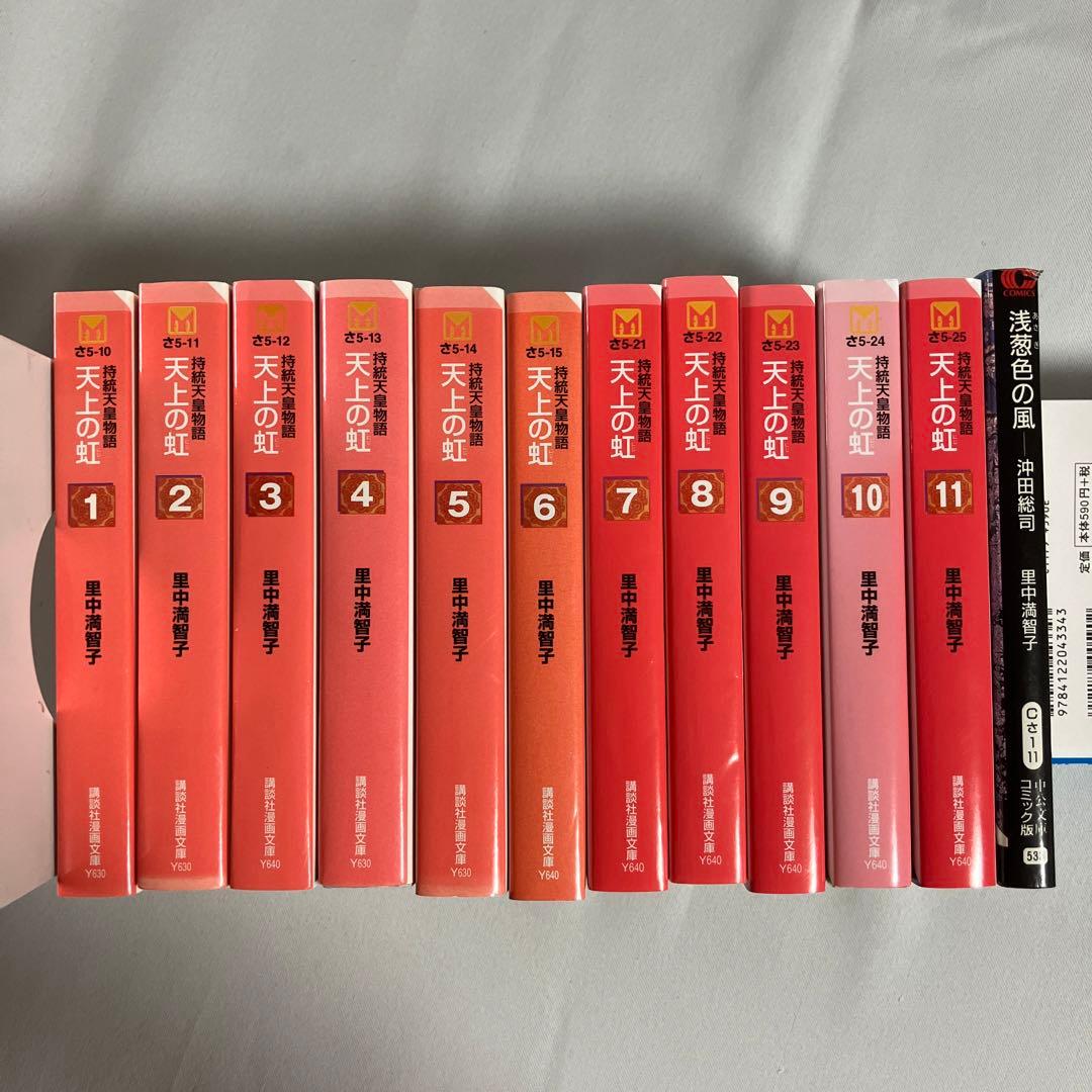 専用ページ　天上の虹　全巻セット