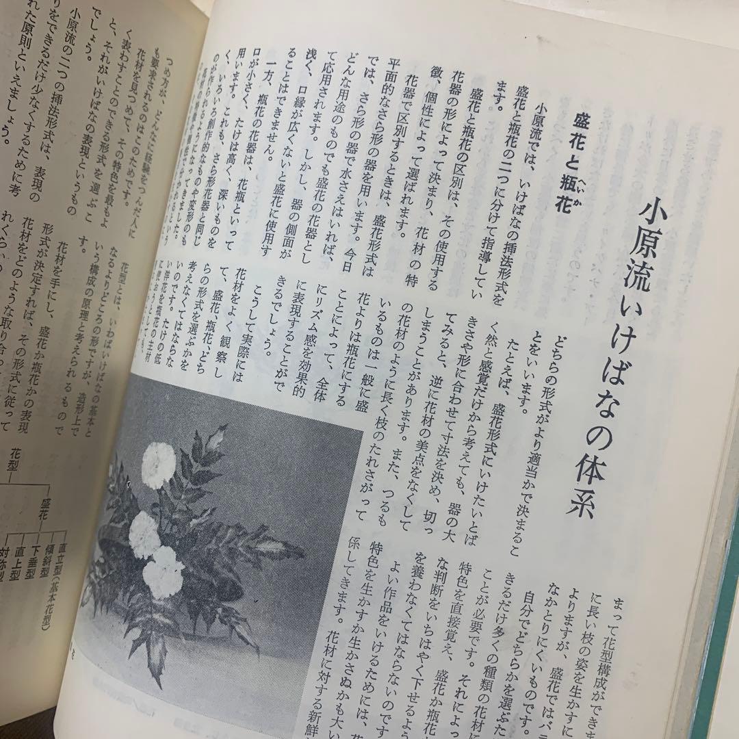 【希少！】小原流いけ花入門―すぐわかる分解写真式