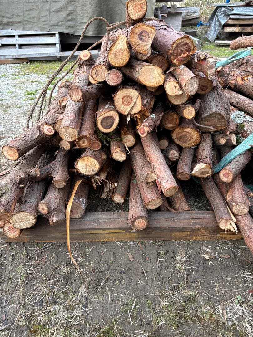 檜　杉　枝　薪　薪ストーブ　工作　DIY 引き取り限定 千葉
