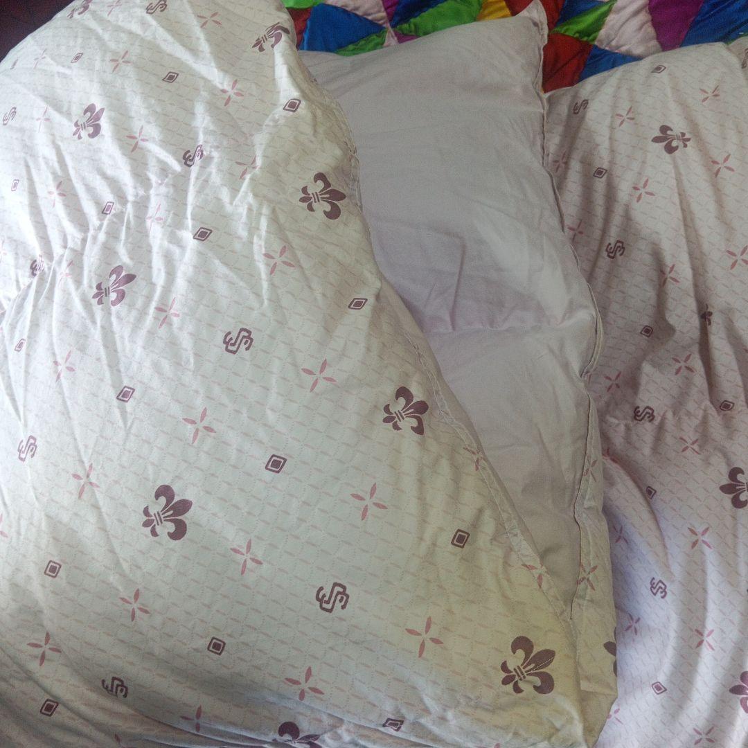 羽毛掛け布団　ロマンス小杉販売　シングル　ポーリッシュダウン90%