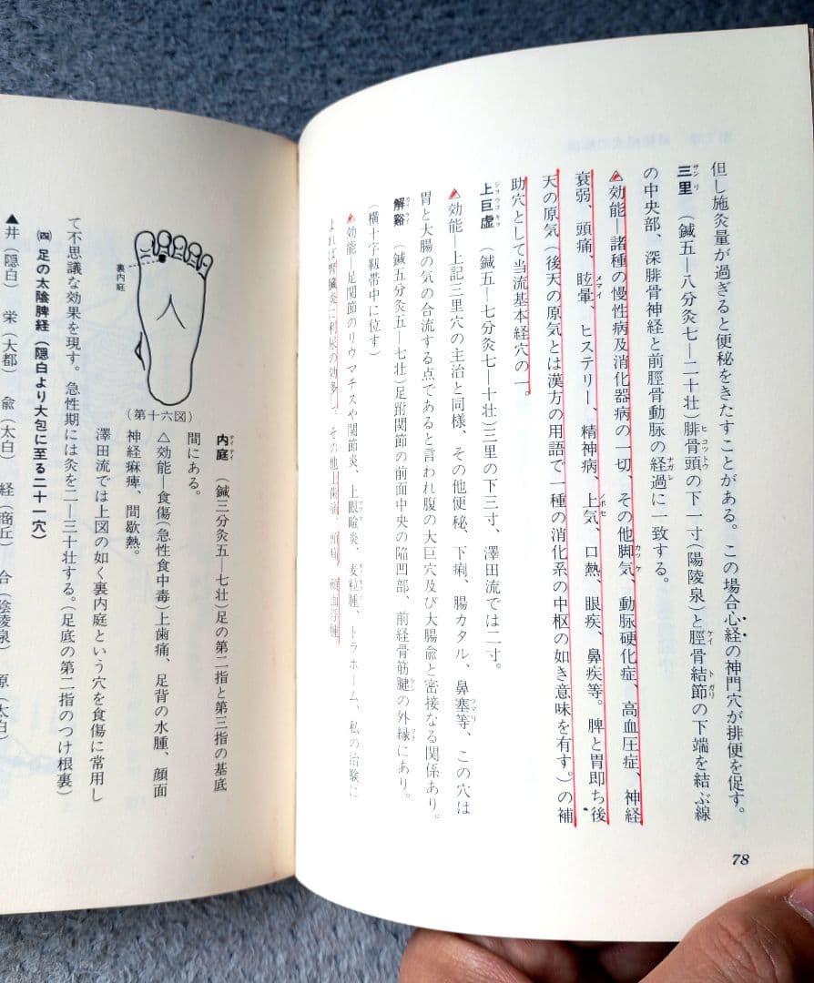 澤田流　鍼灸ノートブック