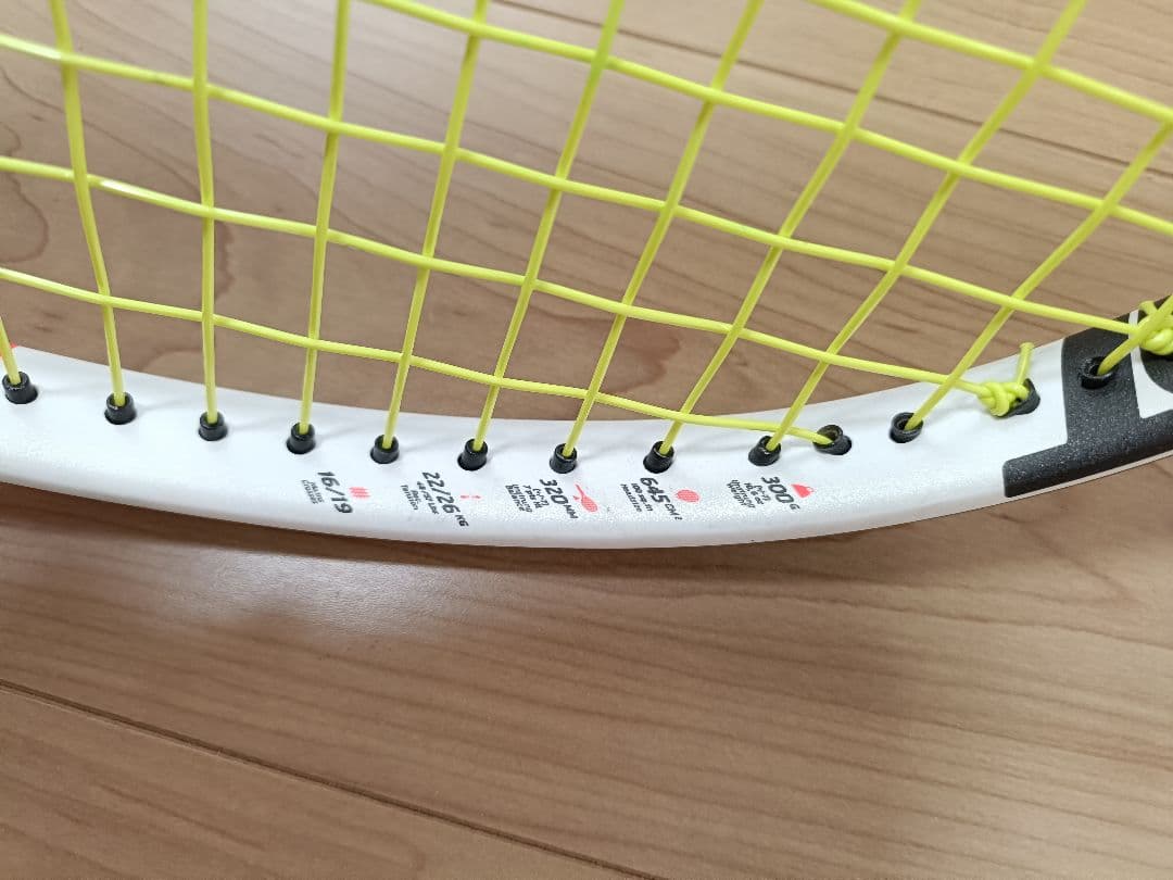 バボラ ピュアストライク100 G2 16x19