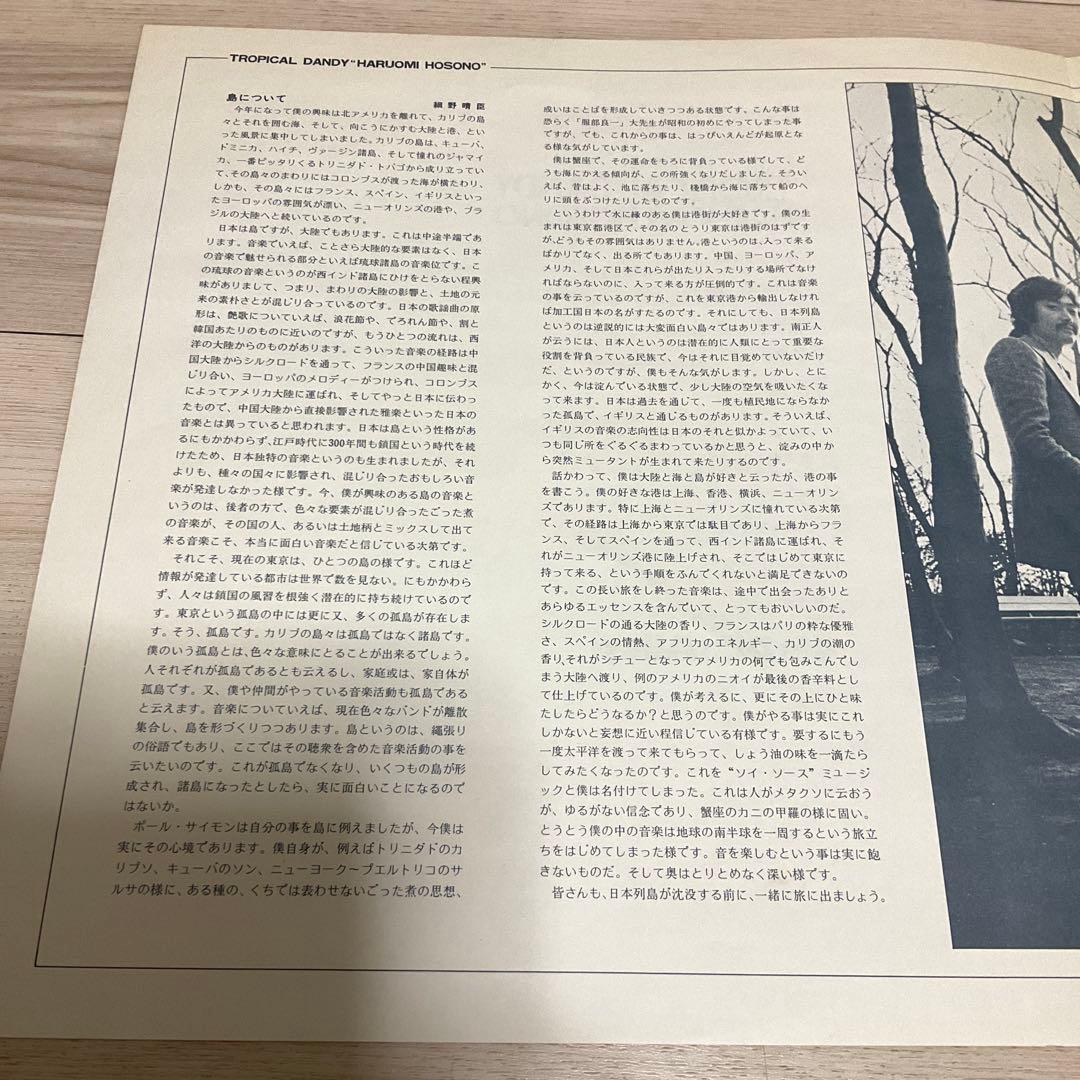 Haruomi Hosono Tropical Dandy 細野晴臣　レコード