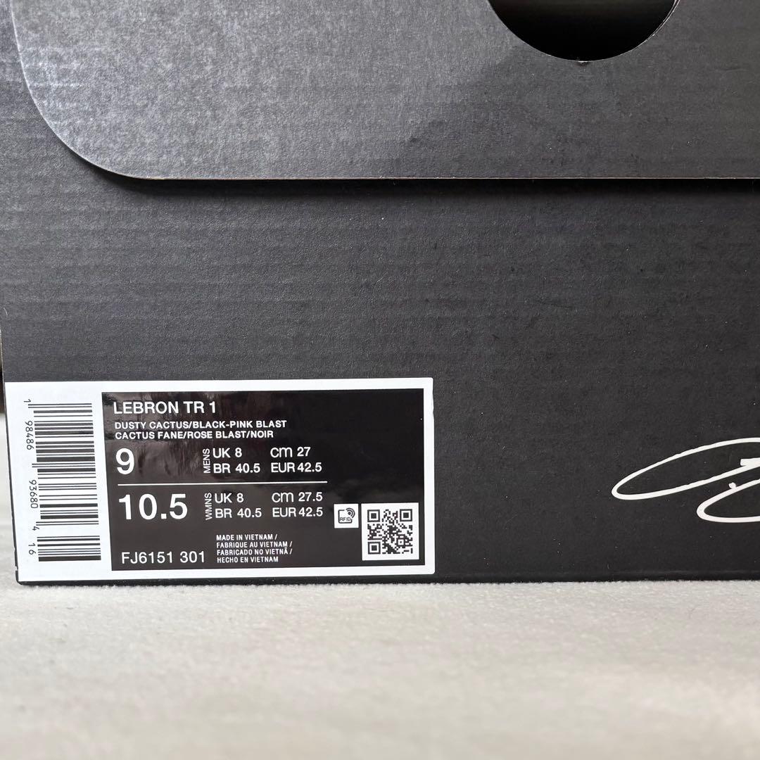 Nike ナイキ レブロン TR1 バスケットシューズ 27cmブルー ピンク