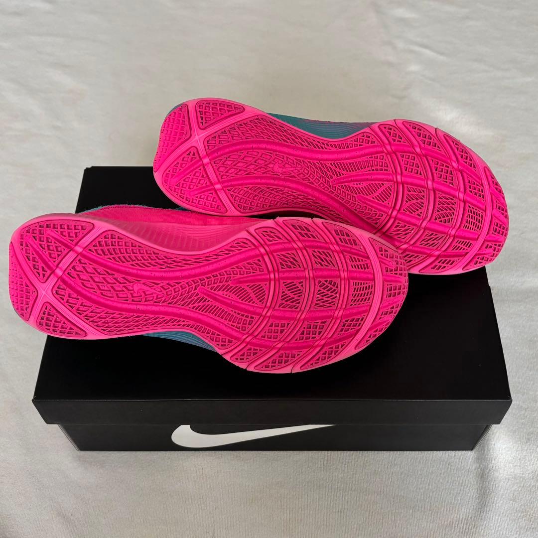 Nike ナイキ レブロン TR1 バスケットシューズ 27cmブルー ピンク