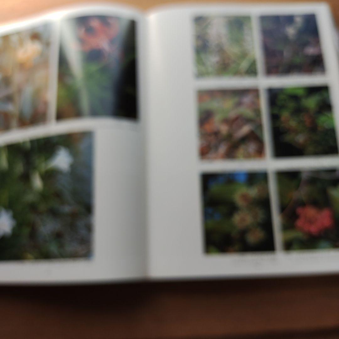 琉球の植物 　初島住彦・中島邦雄 著