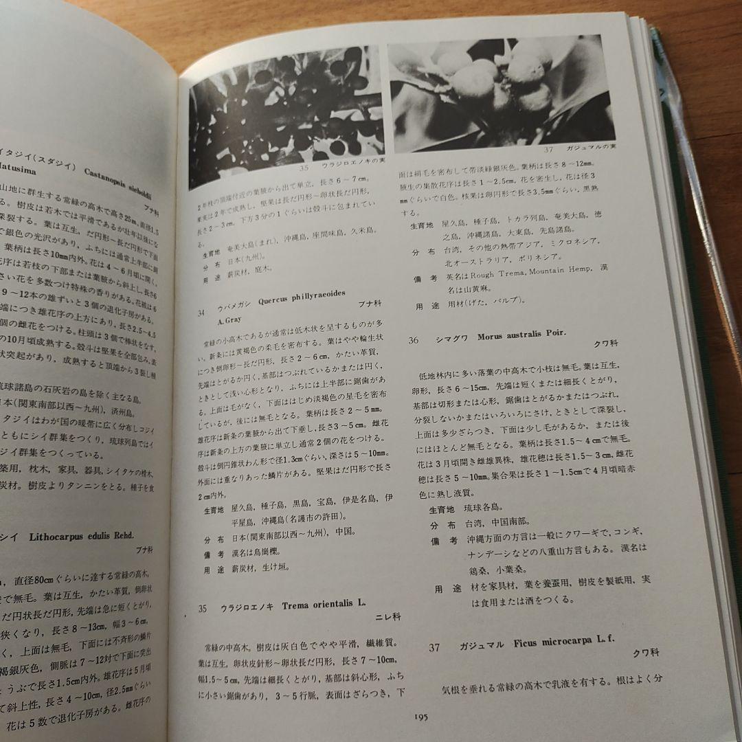 琉球の植物 　初島住彦・中島邦雄 著