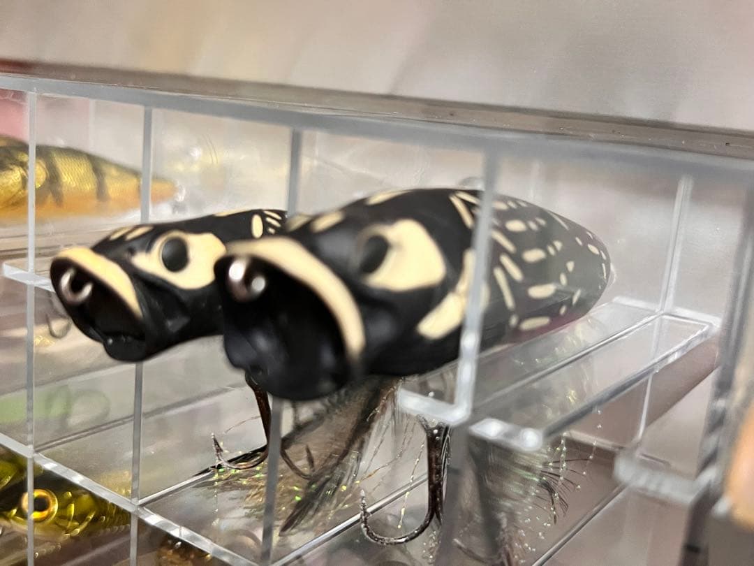 メガバス　アサイラム&ルアーセット