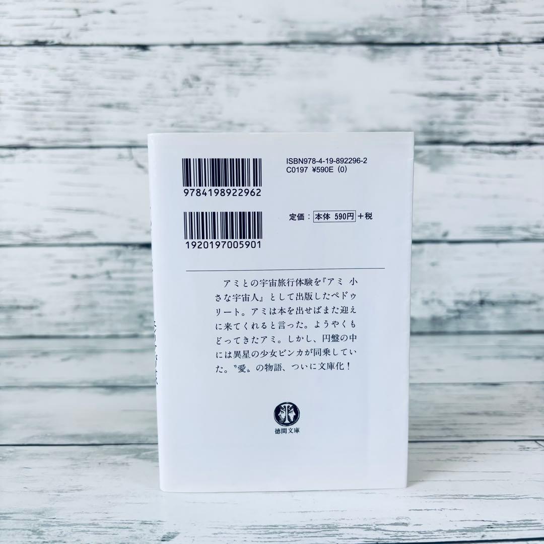 もどってきたアミ : 小さな宇宙人　文庫本