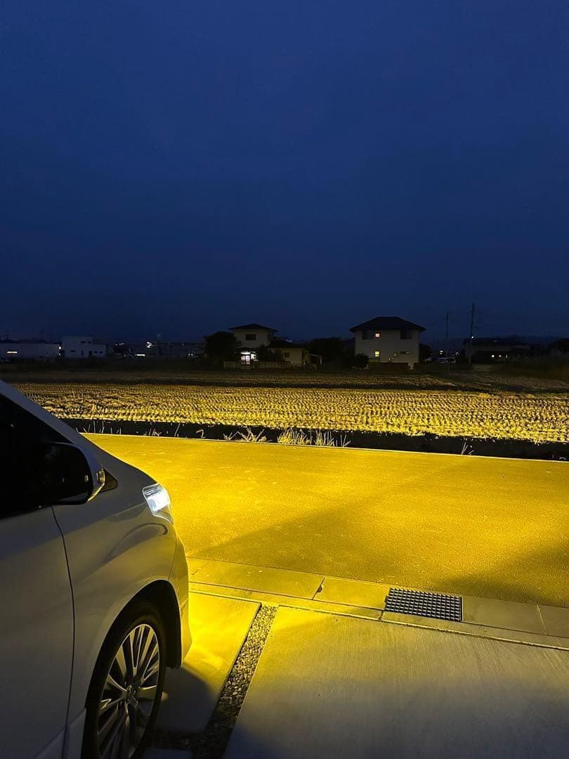 《H11》WS55 イエロー版 LED フォグ 300 黄色 爆光 AA1