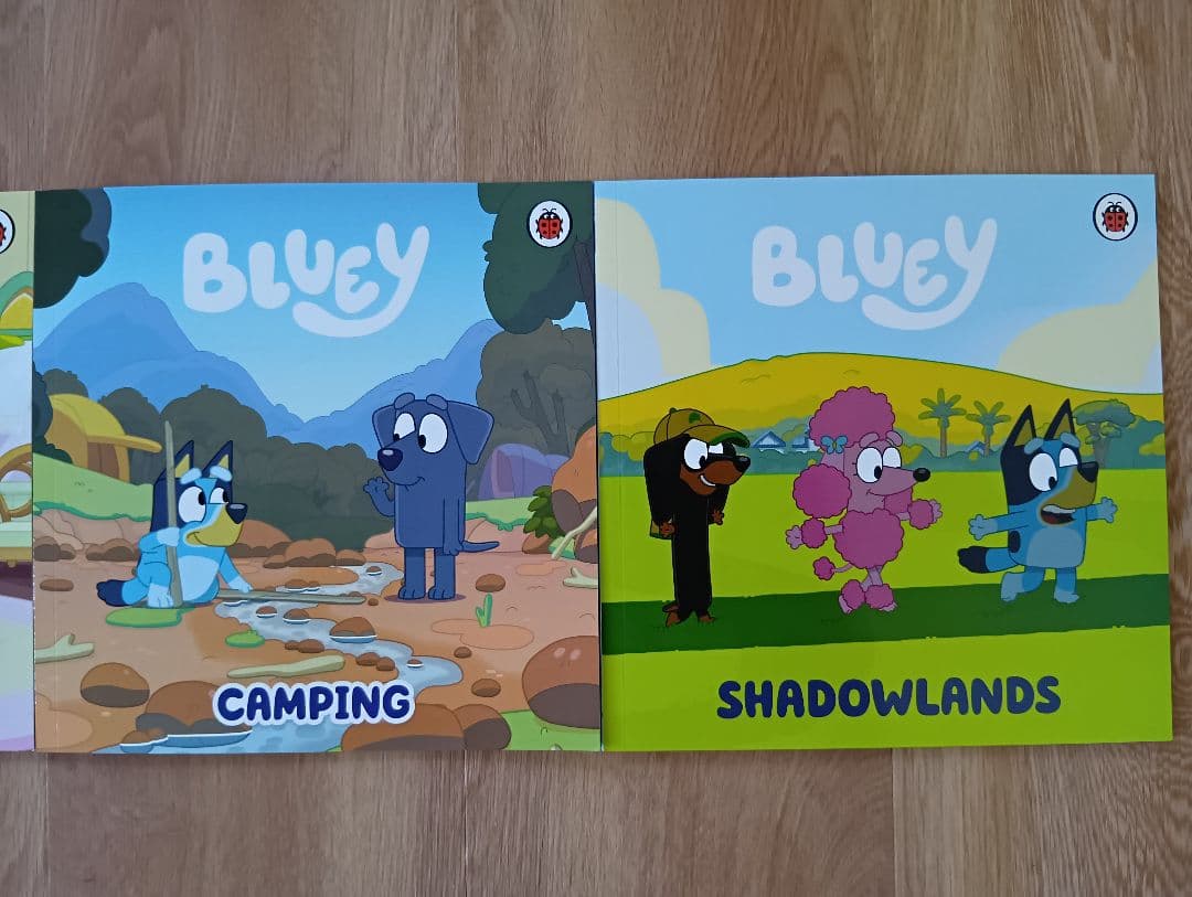 正規品 新品未開封 Bluey 箱 10冊セット 幼児 小学生 洋書 英語 絵本