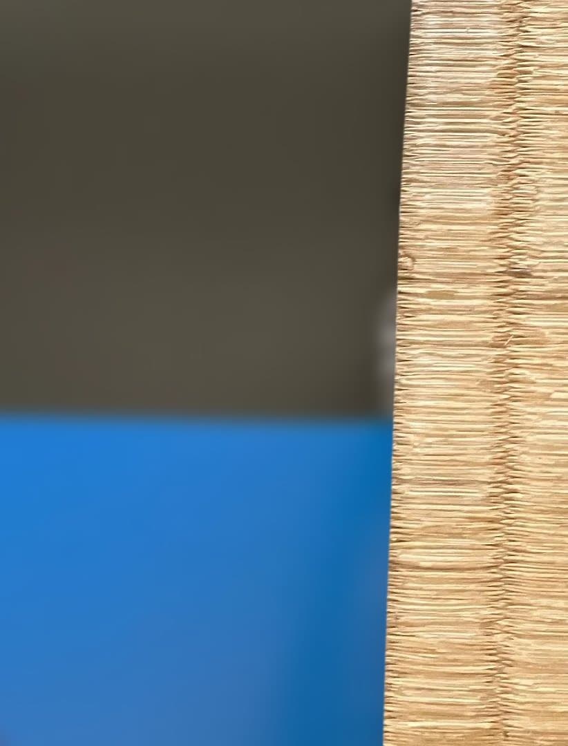 【激レア】SKELTON APE コーネリアス ポスター 90s 当時物