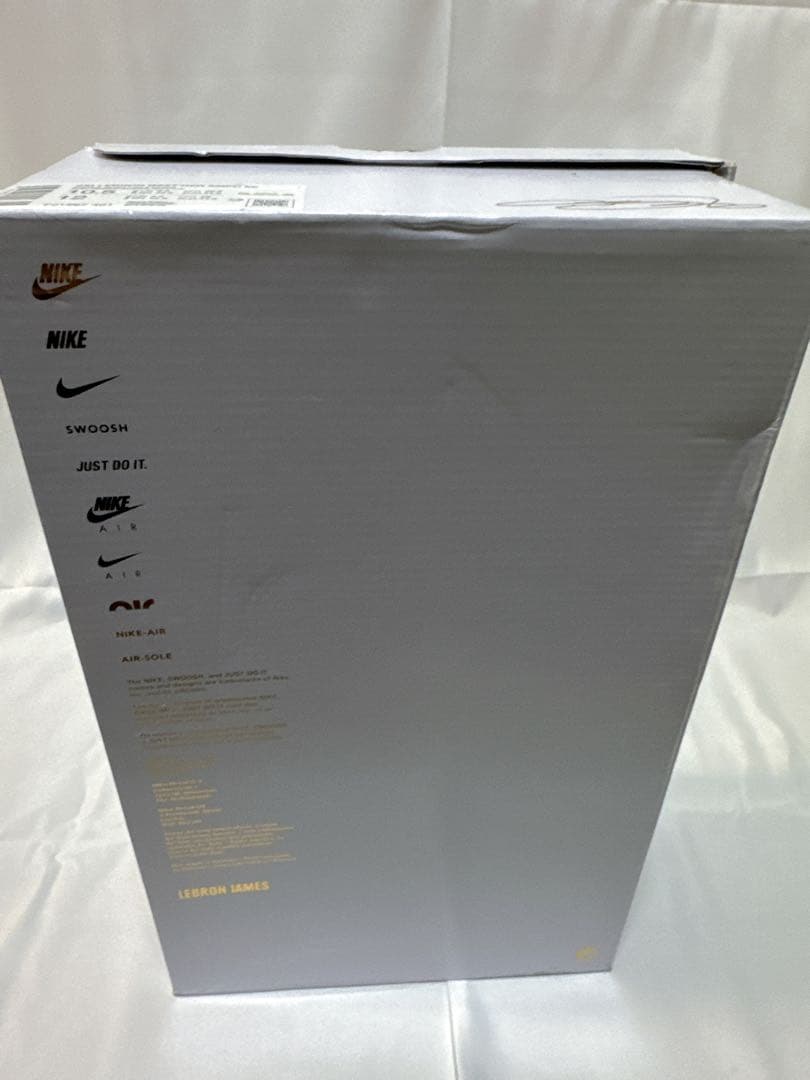 NIKE LEBRON NXXT GEN AMPD EP28.5cm 大特価