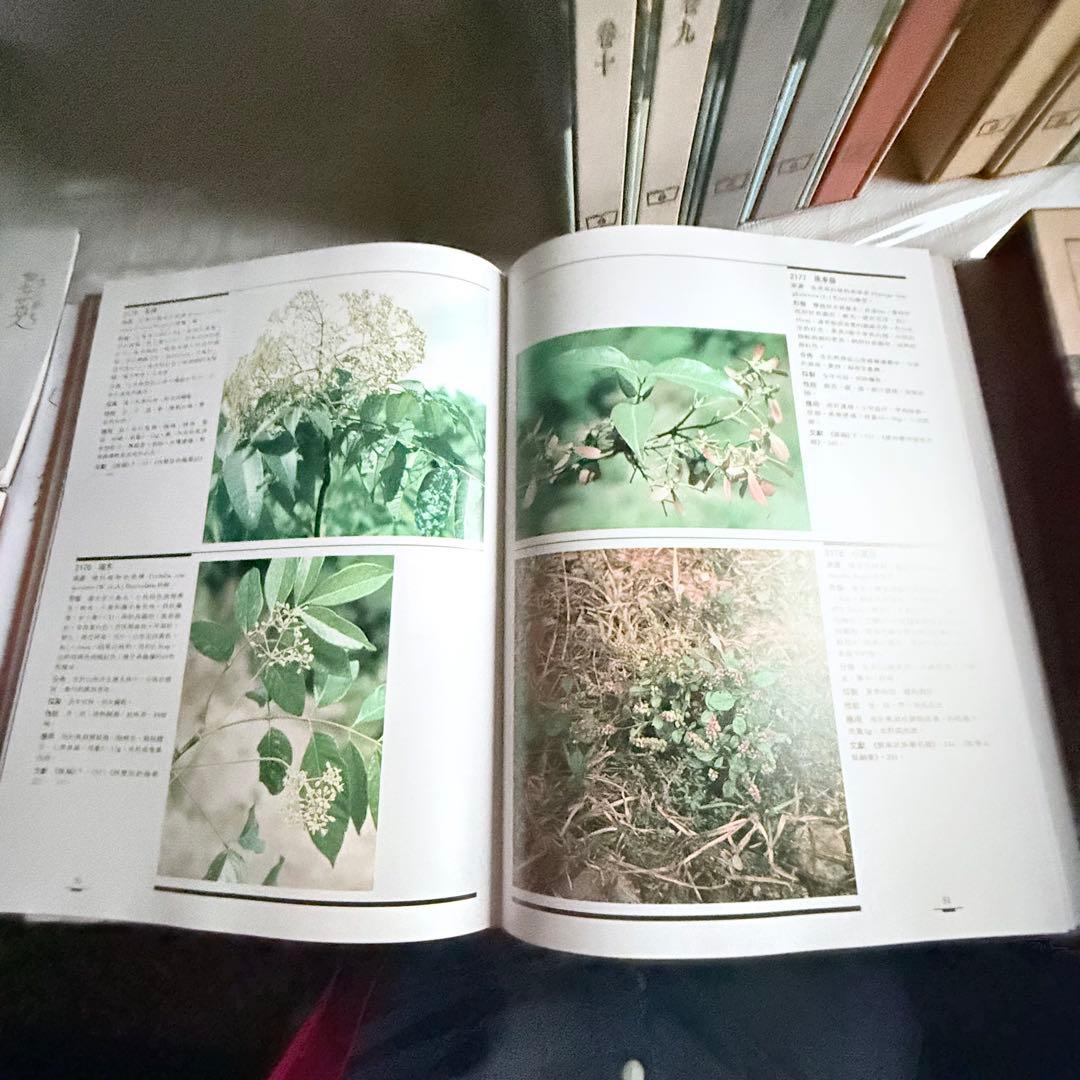 超限定2月25日20時迄‼️漢薬フルカラー『中國本草圖錄』10巻揃￼中国語薬草図鑑