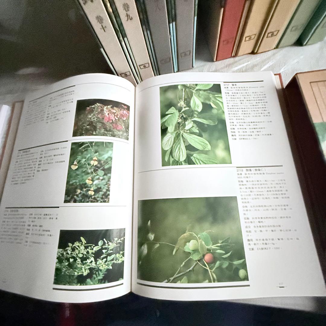 超限定2月25日20時迄‼️漢薬フルカラー『中國本草圖錄』10巻揃￼中国語薬草図鑑