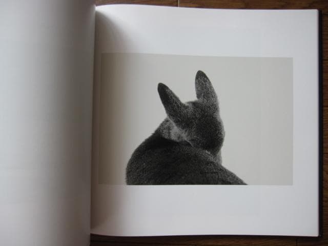 SOME SAY ICE　Alessandra Sanguinetti