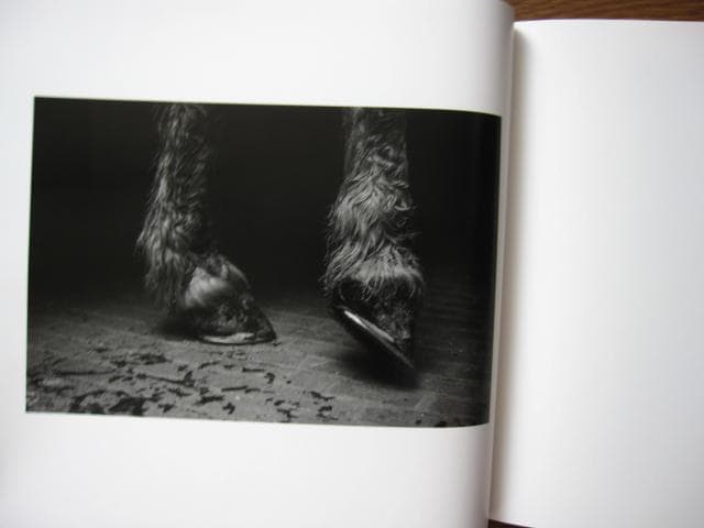 SOME SAY ICE　Alessandra Sanguinetti