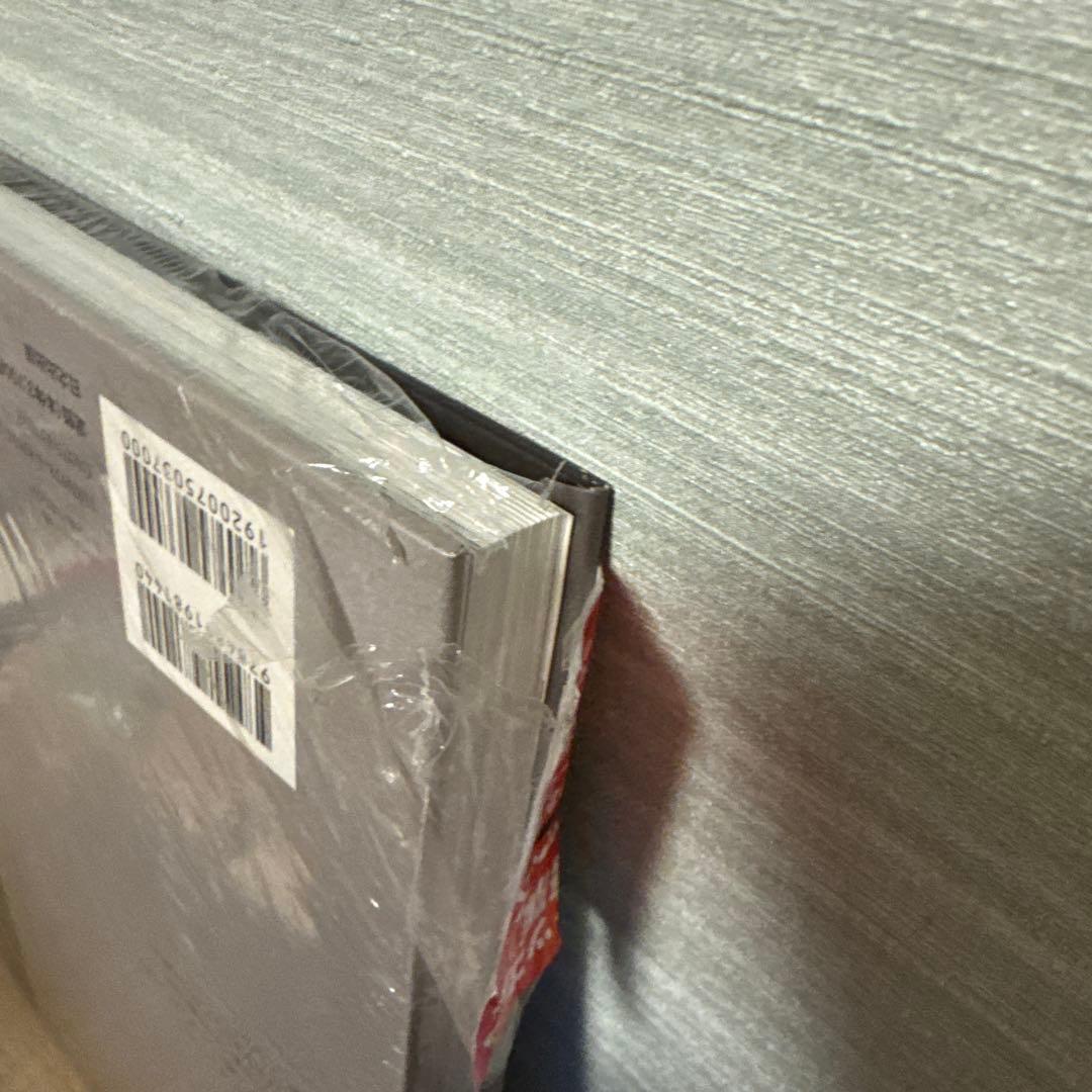 【日本語版】DAVID BECKHAM / 自伝 /日之出出版