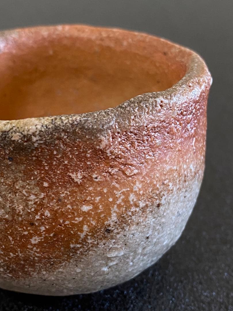 信楽焼　徳利　とっくり　ぐい呑　晩酌セット　井村侊生　　#3503