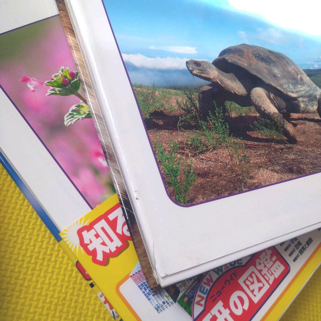 学研 学研の図鑑 恐竜 動物 植物 花 水の生き物 図鑑 ニューワイド