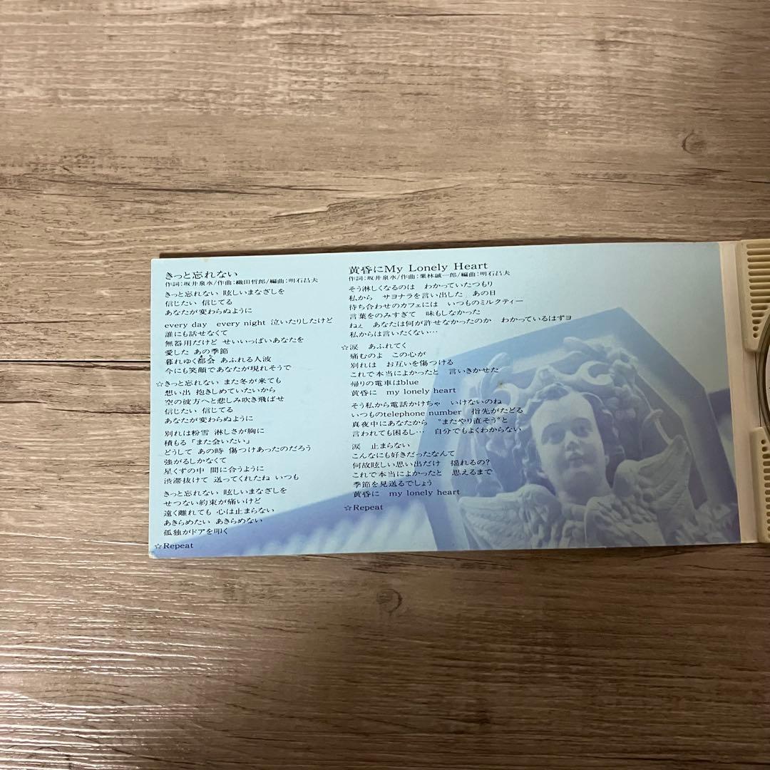 E-壁 ZARD きっと忘れない 8cmシングル CD 中古 坂井泉水