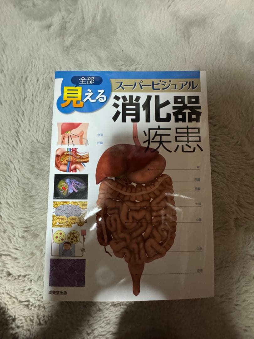 5冊セット 全部見える呼吸器疾患 消化器疾患 循環器疾患 脳神経疾患　整形外科