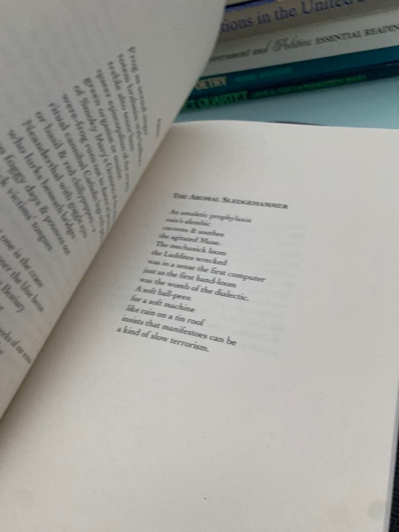 希少　Hakim Bey Black Fez Manifesto, &c.