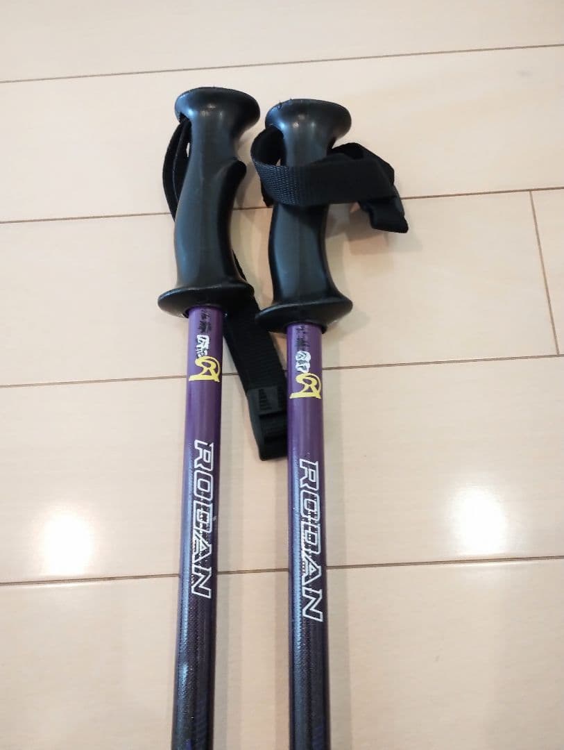 elan スキー板 マーブル模様 ストック　ケース付き 160cm