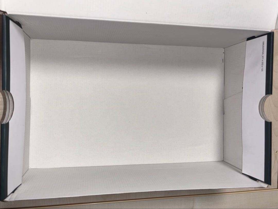 【未使用】NIKE LEBRON XVI LOW グレー 28cm