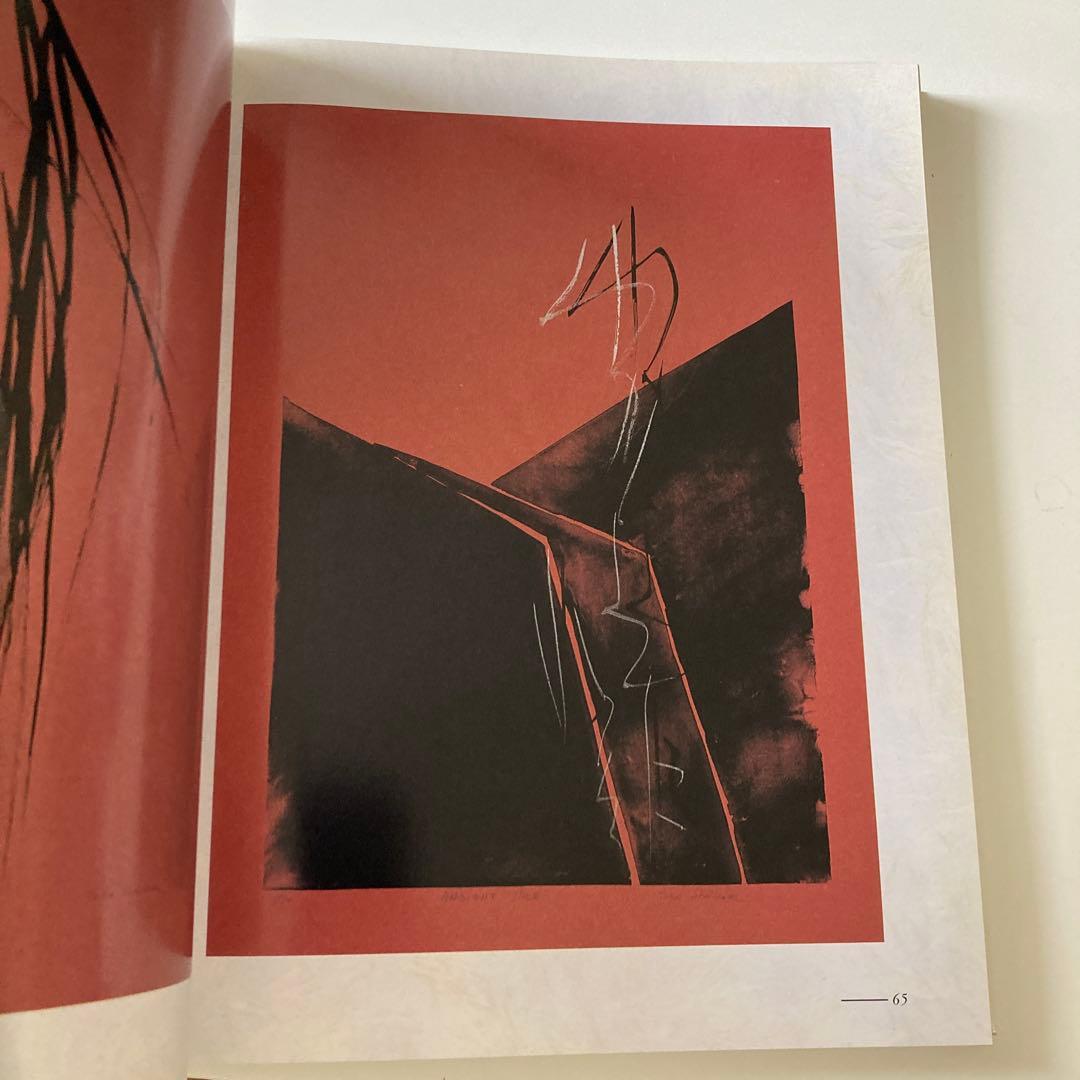 Toko Shinoda: A New Appreciation 篠田桃紅 画集