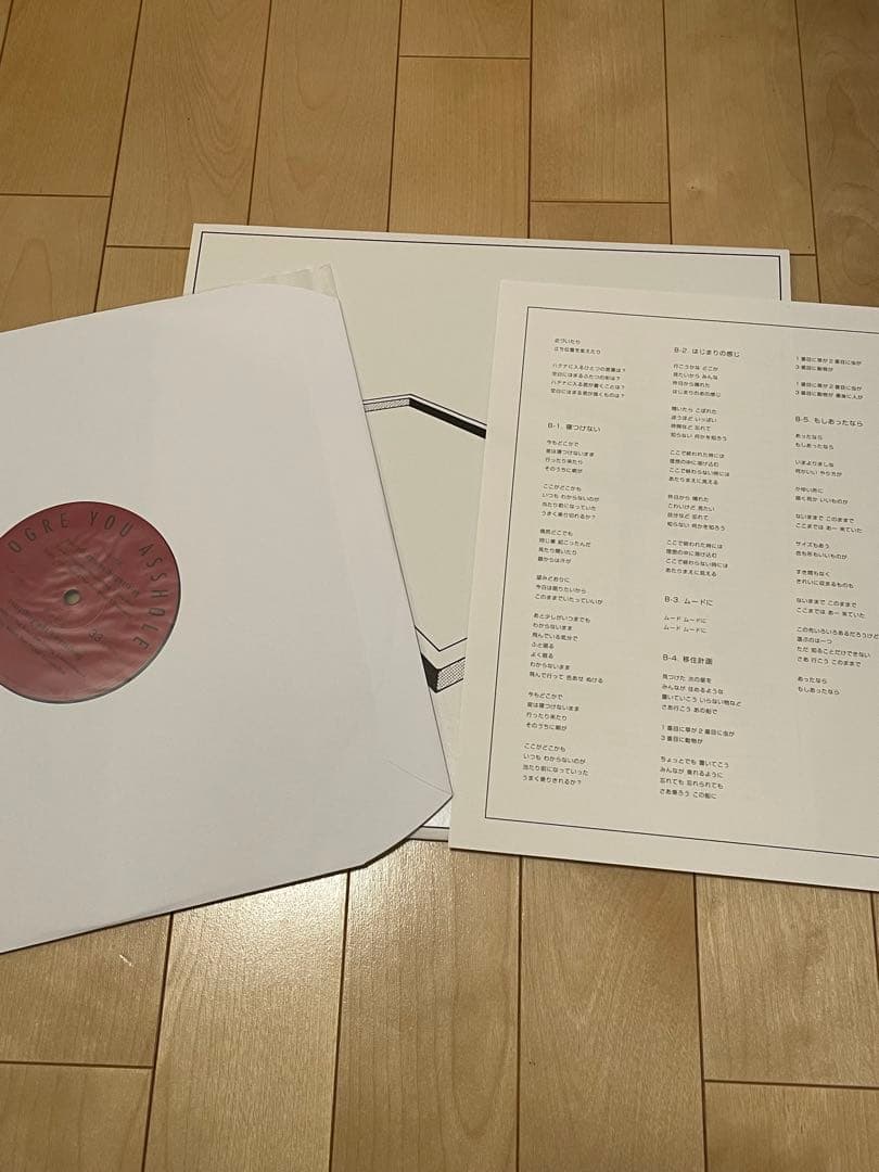 OGRE YOU ASSHOLE ハンドルを放す前に レコード LP