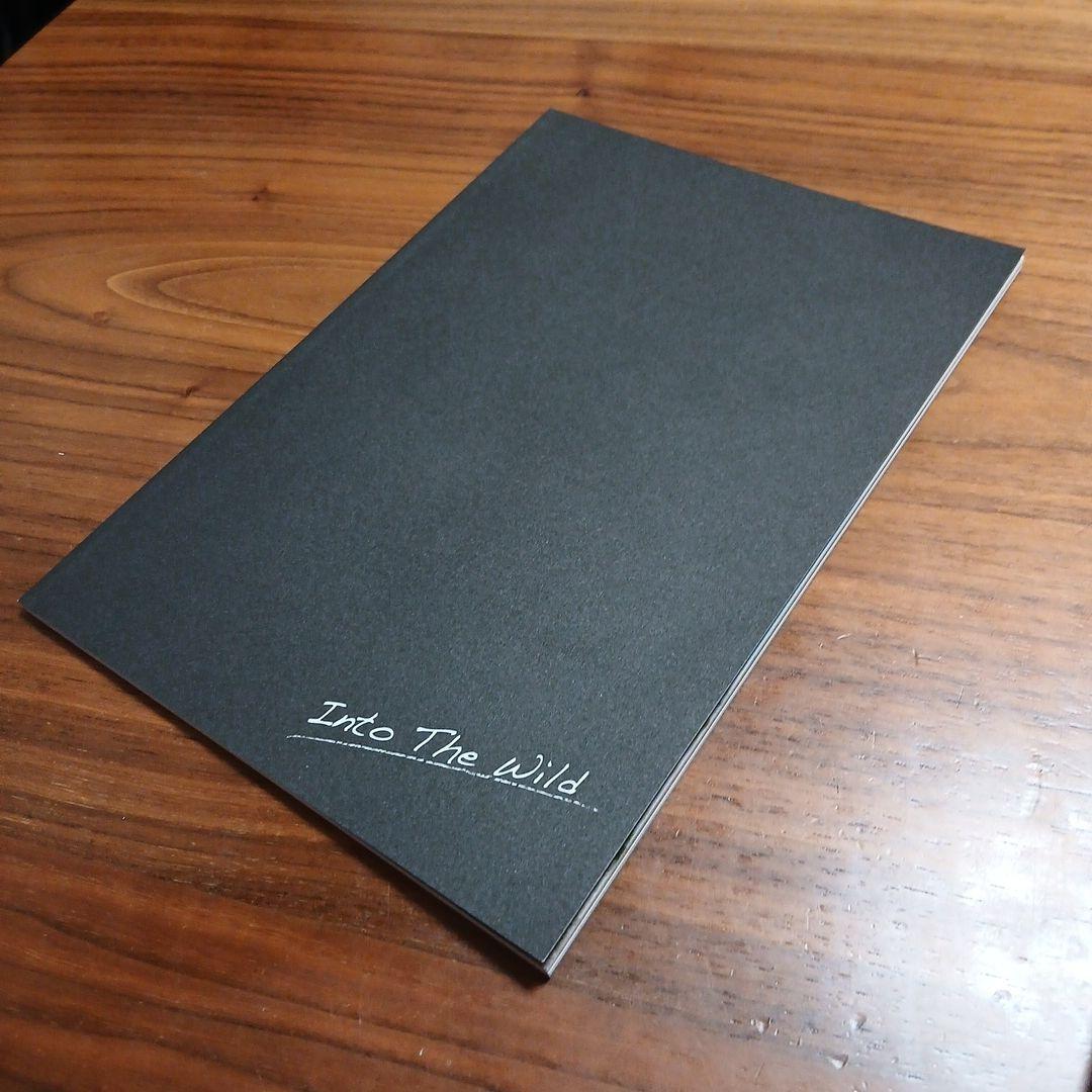 初回盤 イントゥ・ザ・ワイルド DVD