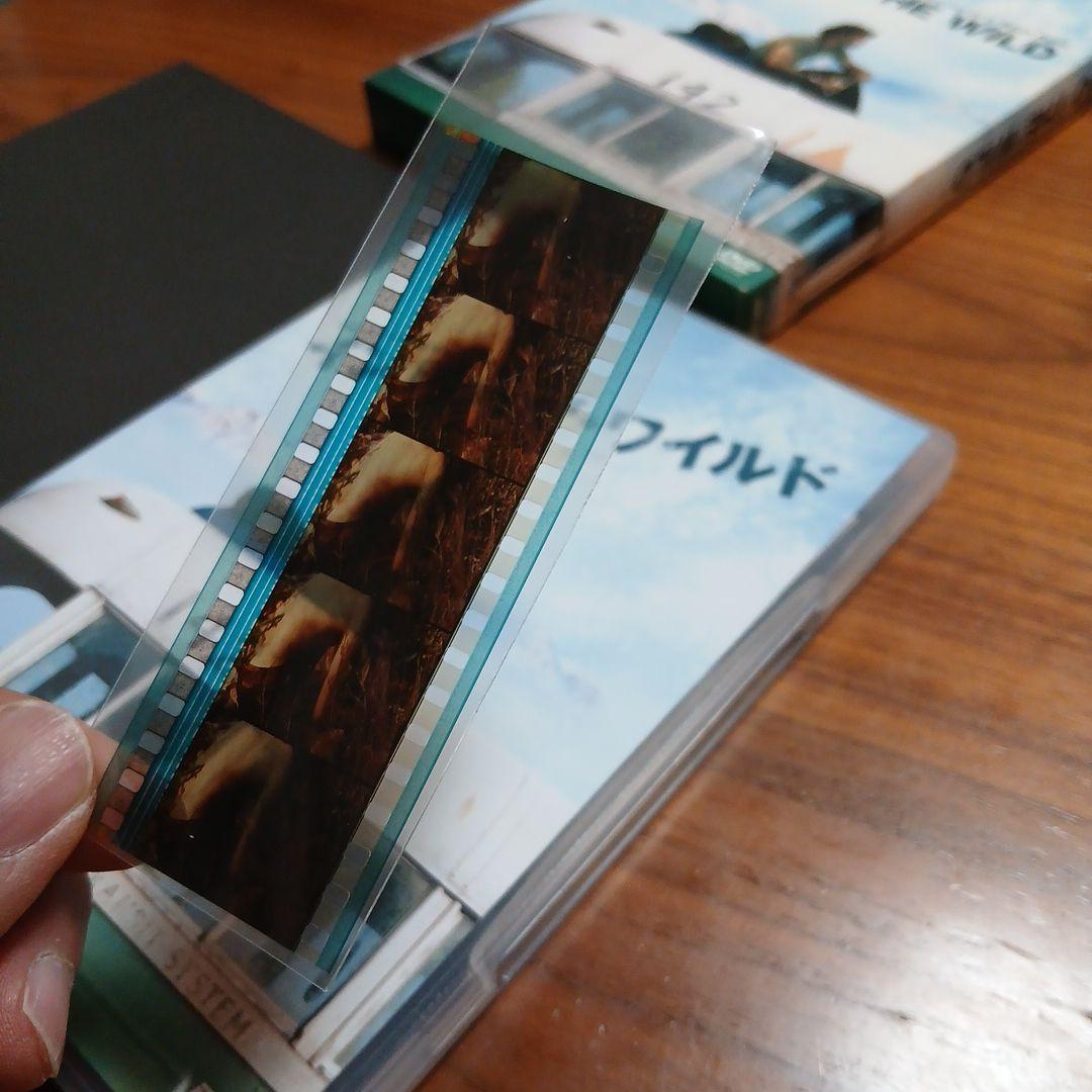 初回盤 イントゥ・ザ・ワイルド DVD