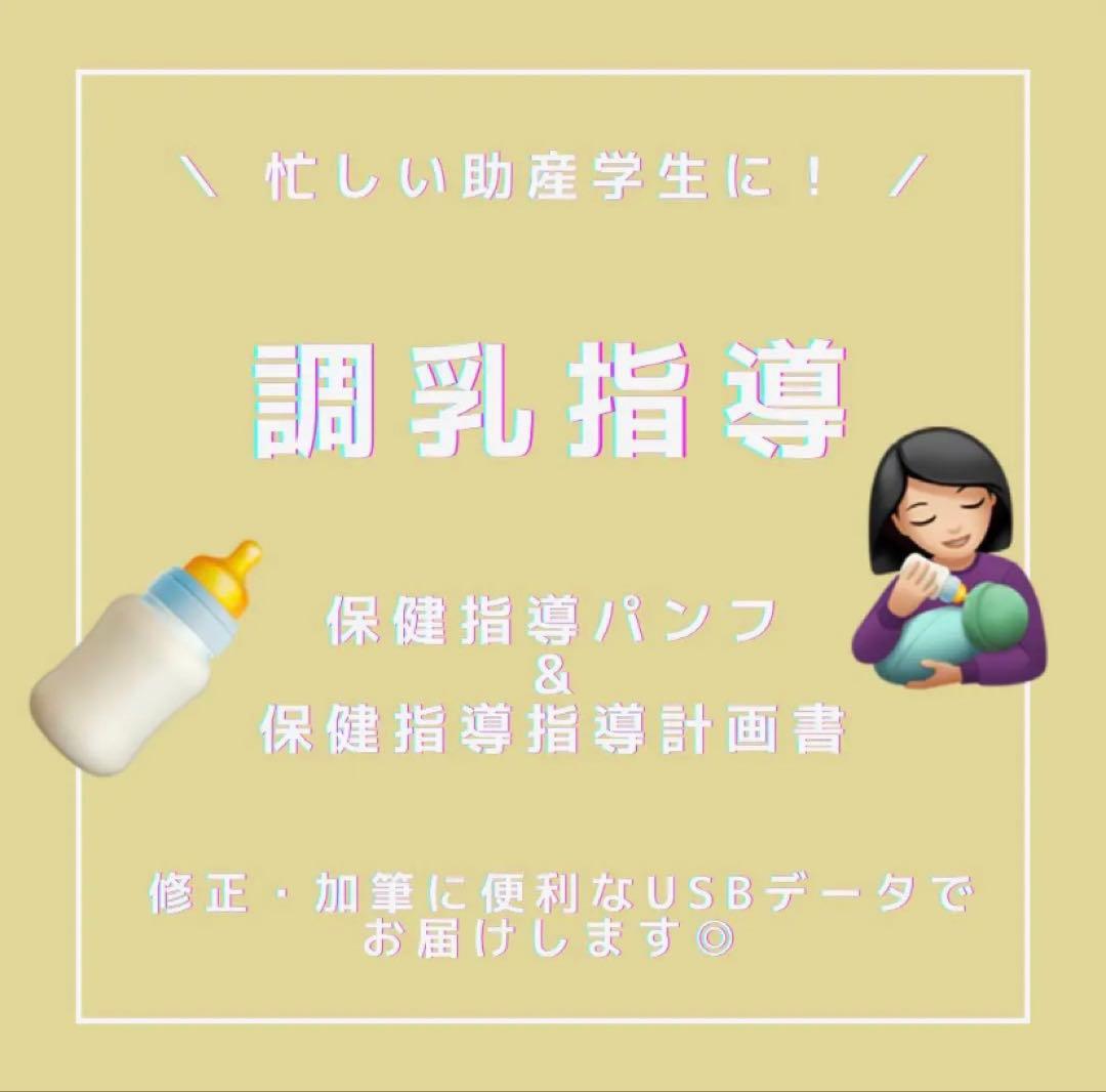 ❤️助産❤️［全部セット］保健指導パンフレット（媒体）&指導計画書　USBデータ