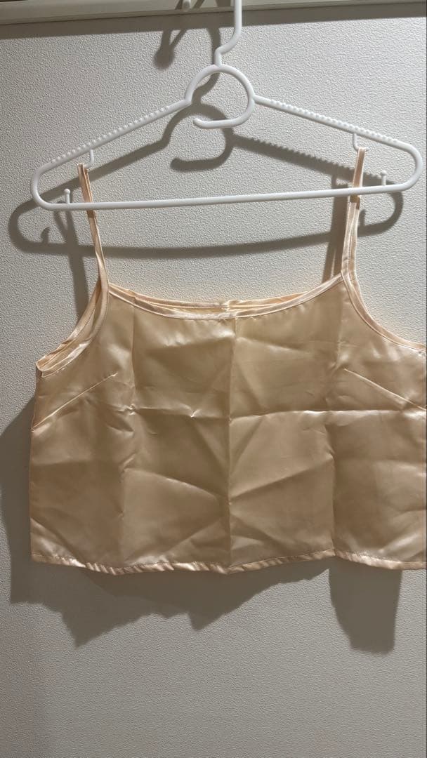 シアーオーバーフレアブラウス