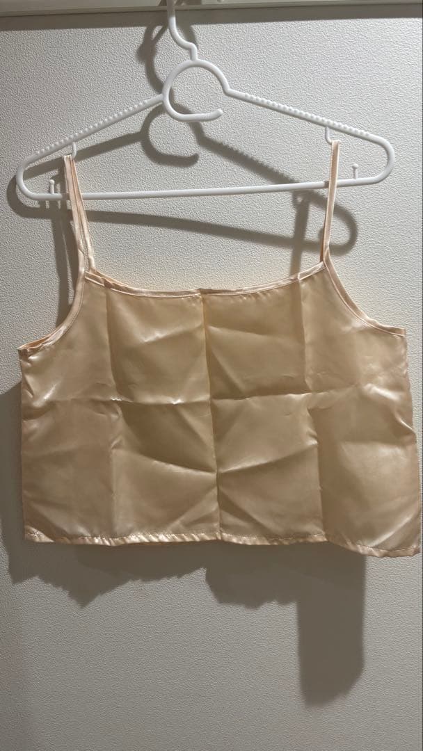 シアーオーバーフレアブラウス